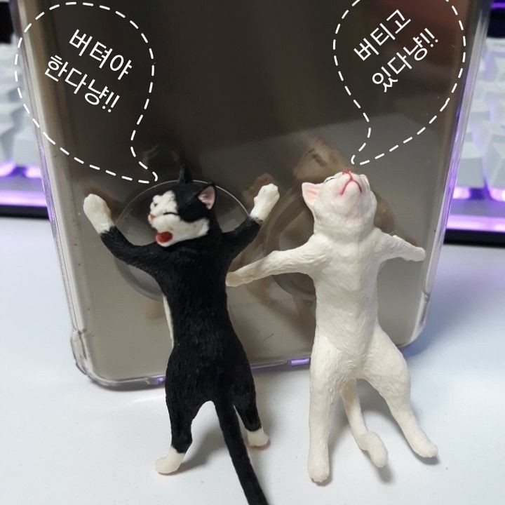 25036378_348118005654094_8473800935468957696_n