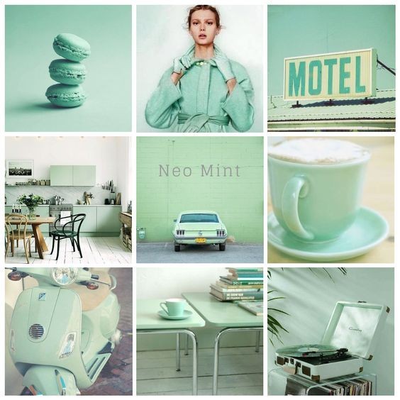 2snb5okavuw40s0ksgcs4g0sspw10fl