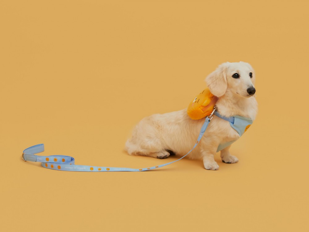 329f447a-eb1c-4c0c-9e75-f469c22dae08