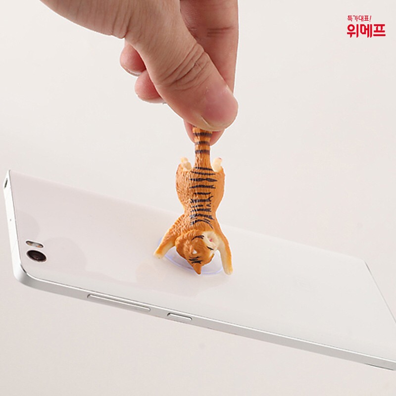 34330952_2071140949824733_8728408065654652928_n