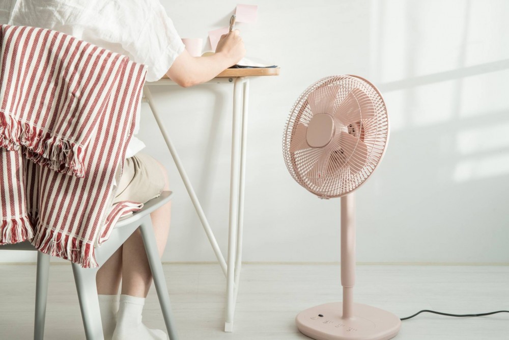 36927812_1965394166850557_4785408542083383296_o