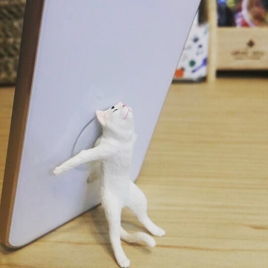 38660612_238284333519023_5148615243198365696_n