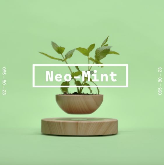 416610903e0ac21708f77e25ff1a69cf