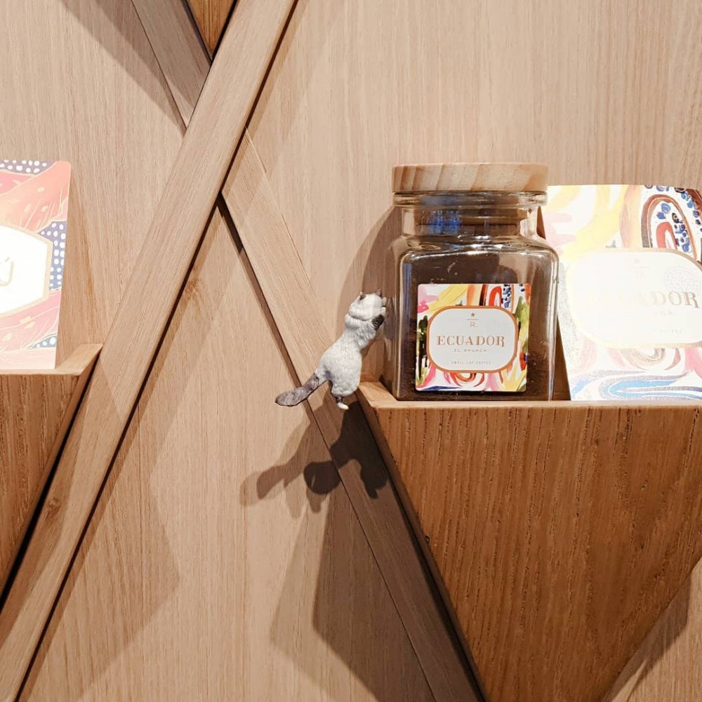 51110728_154720568876430_557601026925575599_n