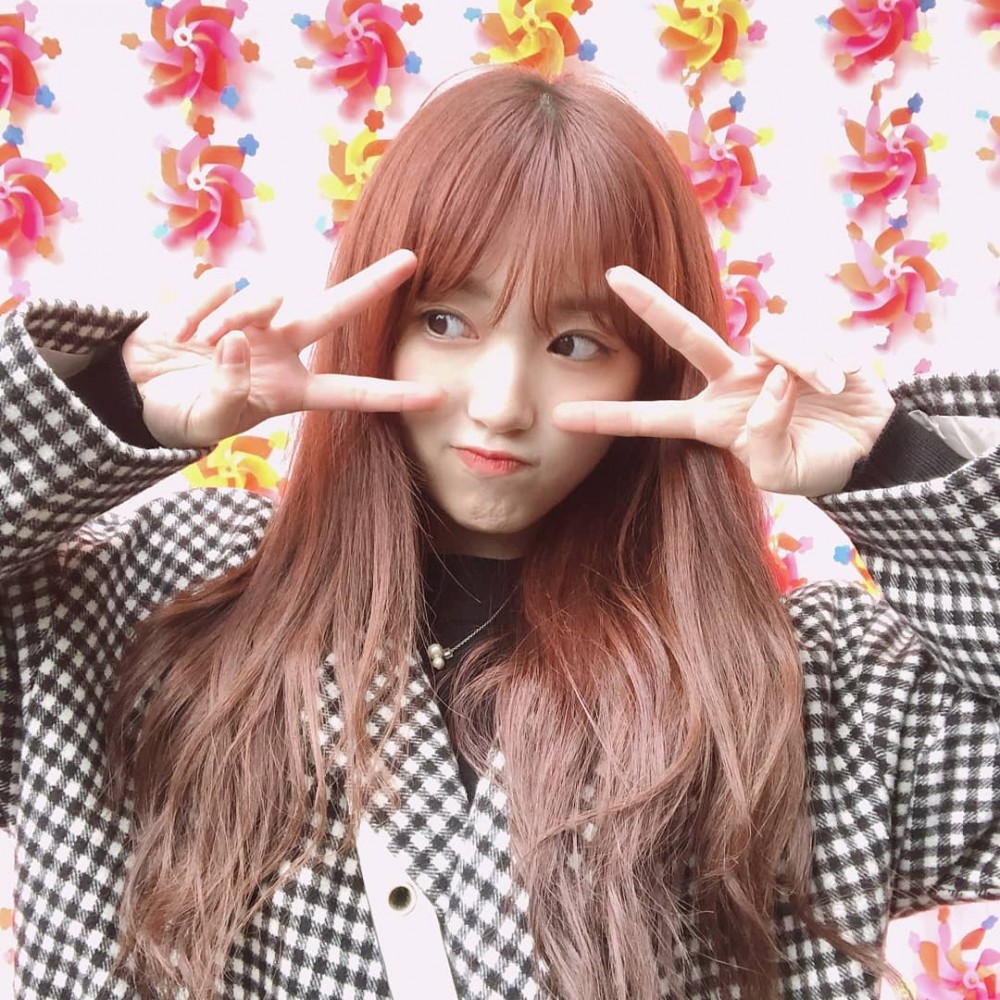 57083808_444176166353550_965116583635969106_n