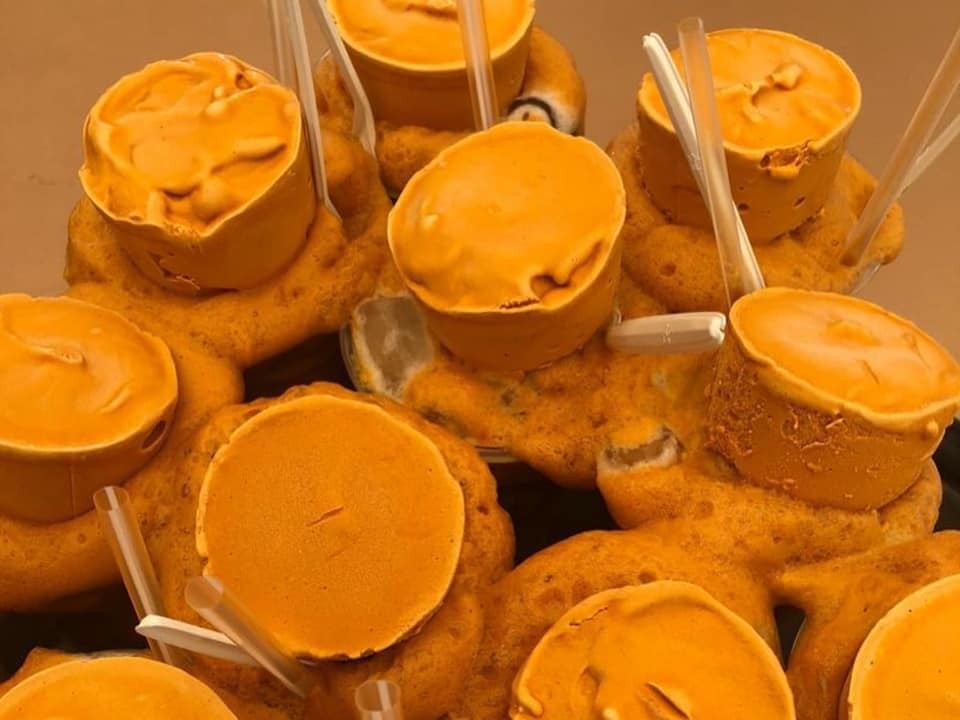 58442767_814294562275588_419707863477256192_n