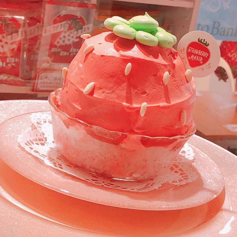 60314158_313023016277127_4217227436894721872_n