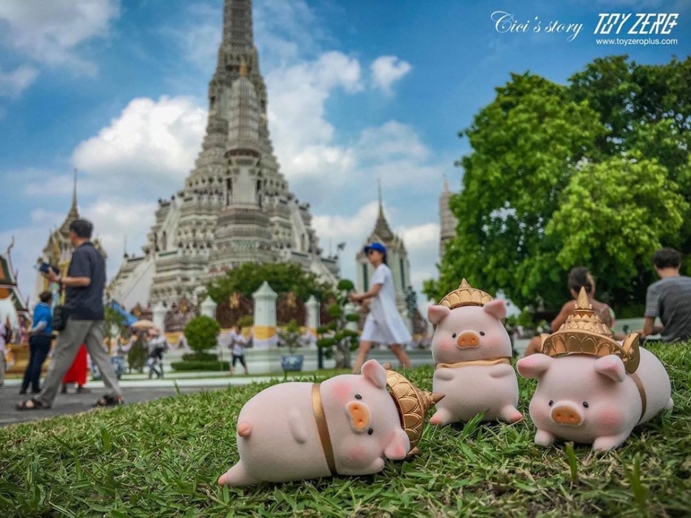 61222188_765245793877265_3893000576455381272_n