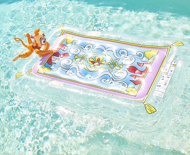 61913939_349599129295216_6697422080823131717_n