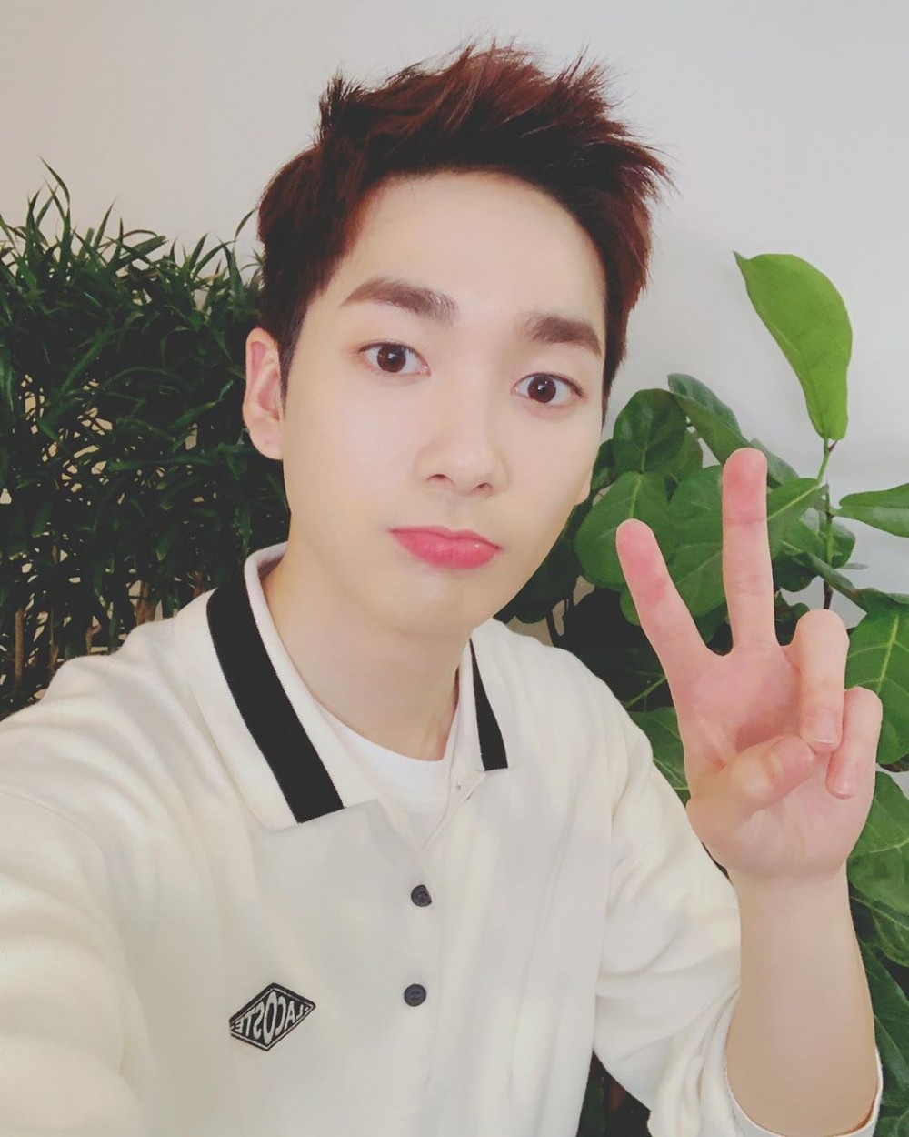 62185420_2290294621047252_2401888600359324700_n