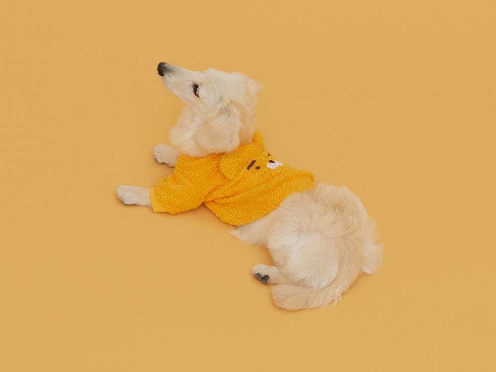 62f3c33c-0a9a-4d30-abab-3c0fdbc5c50b