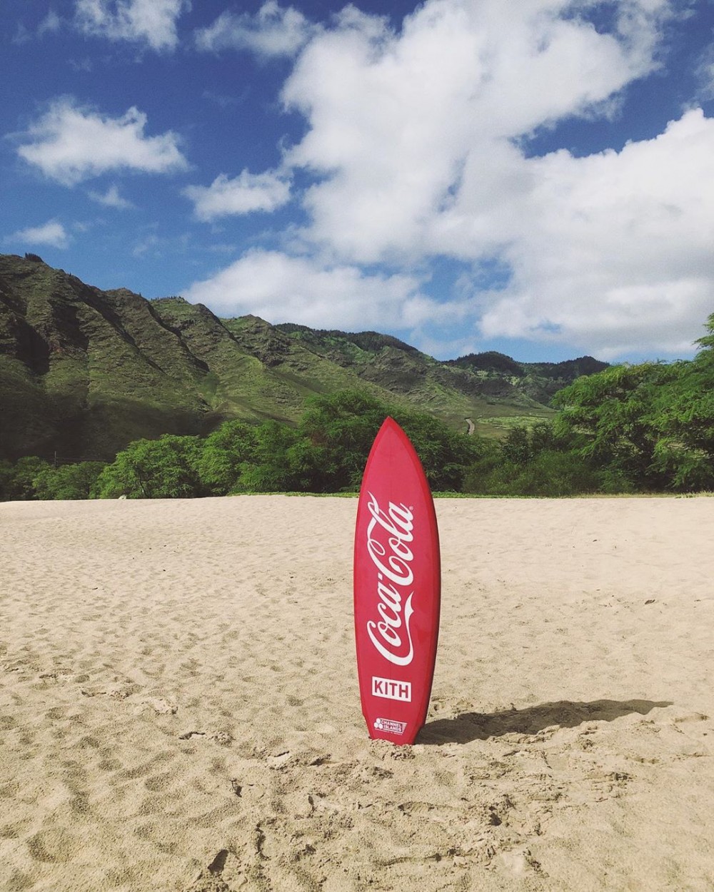 64669464_231312767852778_8679104981036137402_n