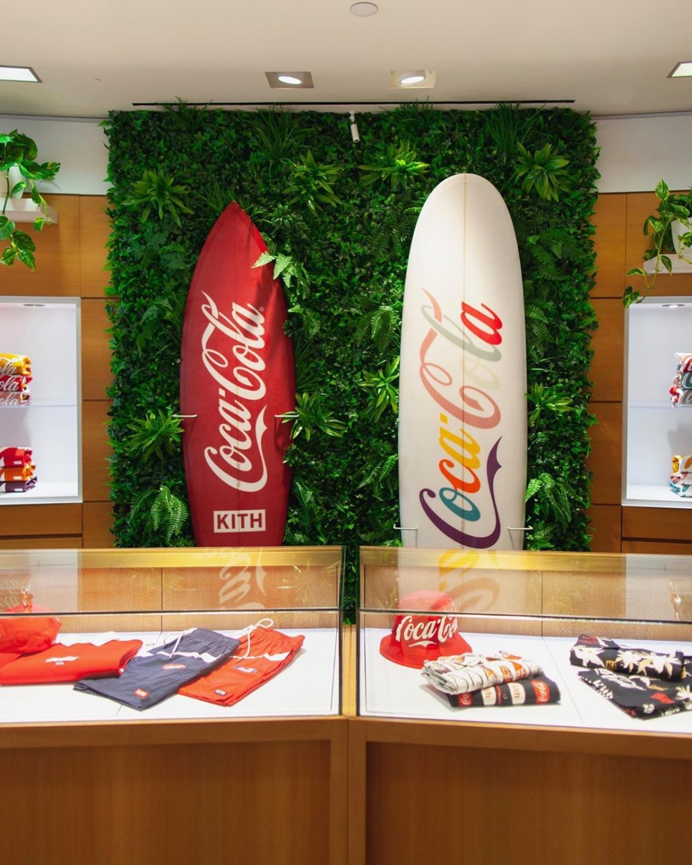 66149544_2300629199991691_4306349775527710852_n