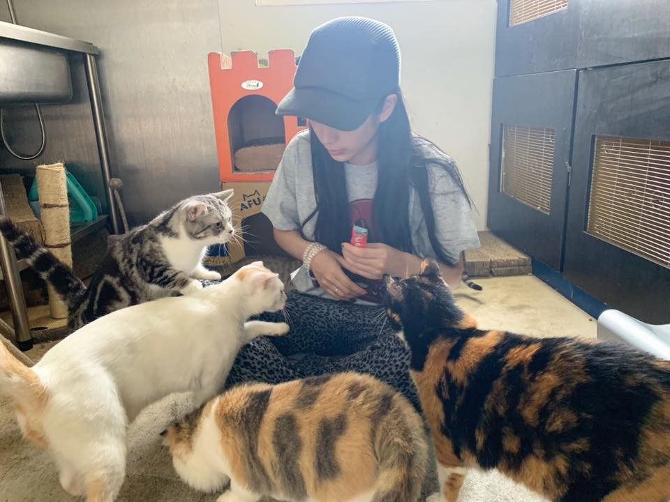 67812020_2251605198222505_2575433308905144320_n