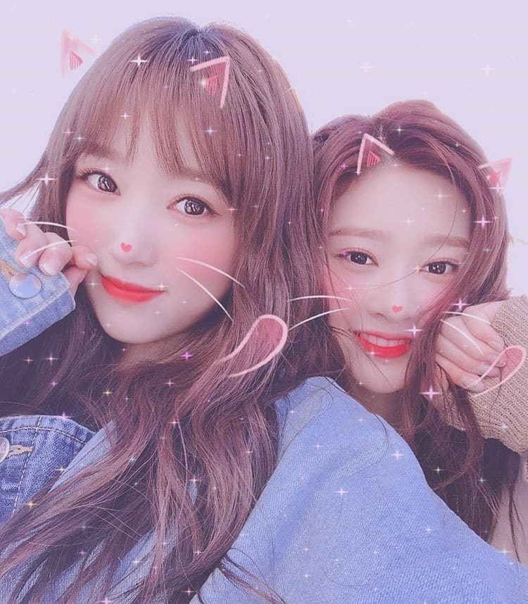 69265309_122540179062010_708852854505245877_n