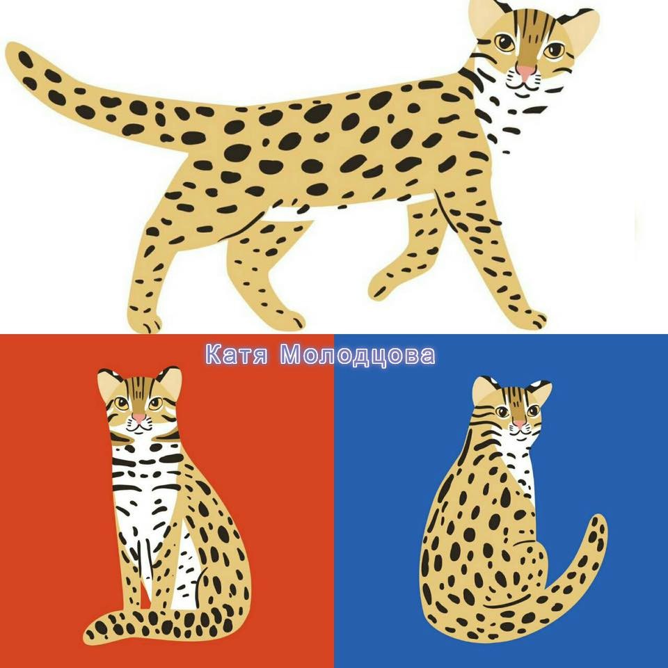 69468386_2496530650582836_961142332848078848_n