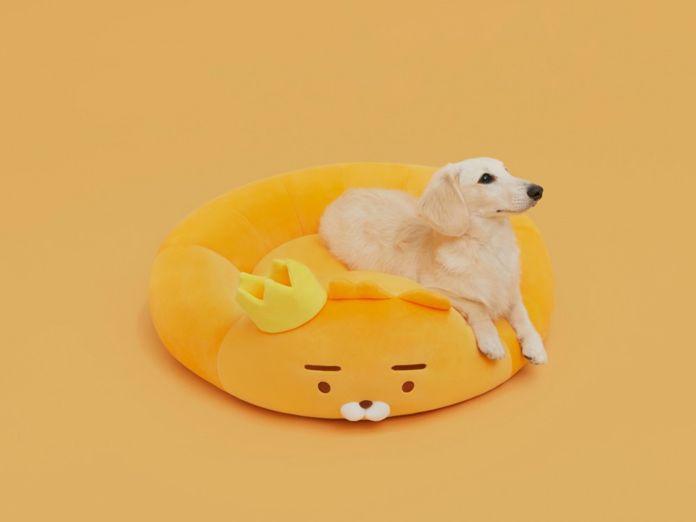 77b067aa-736e-49d3-9774-6d5199ddd464