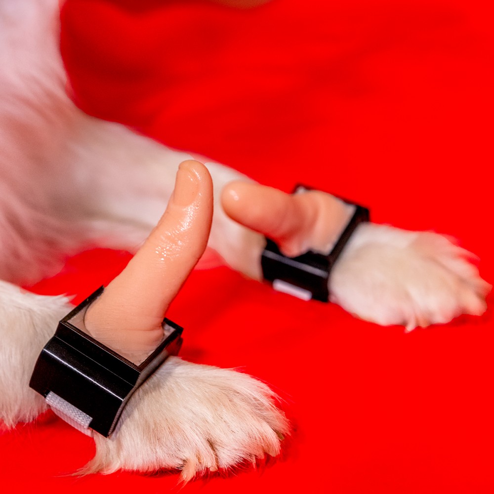 Puppy-Thumbs-2-small