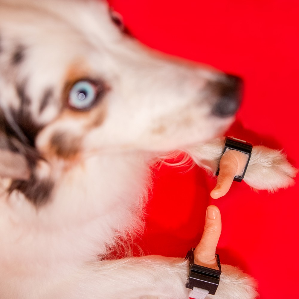Puppy-Thumbs-3-small
