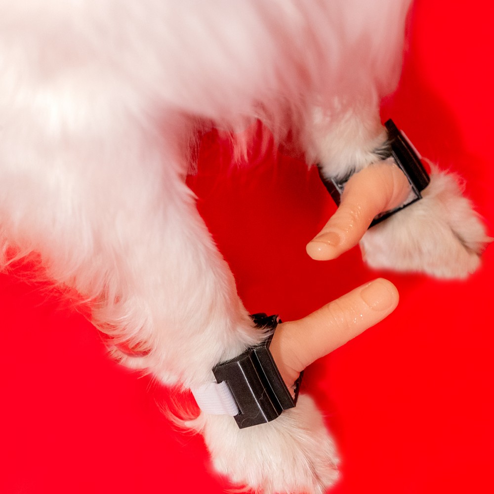 Puppy-Thumbs-4-small