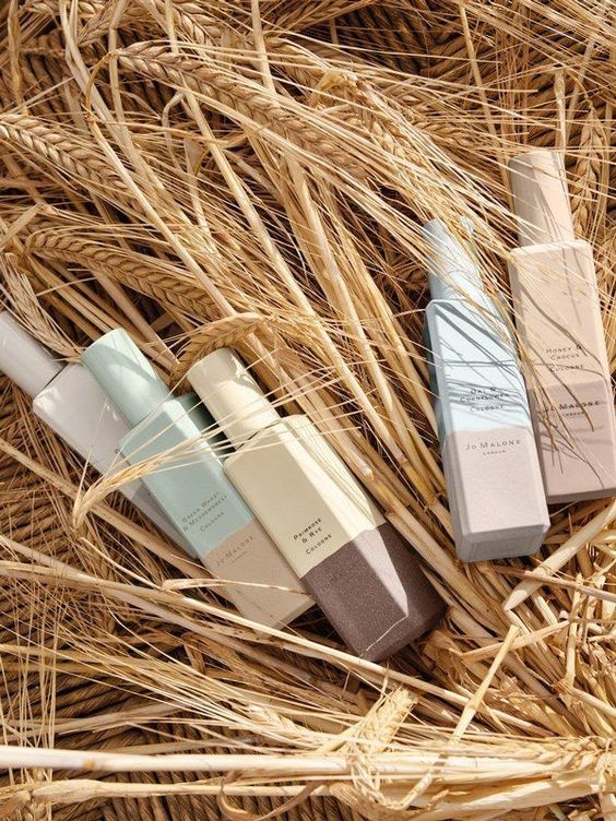 c1f1823558ba380ddecb6f795a76f456