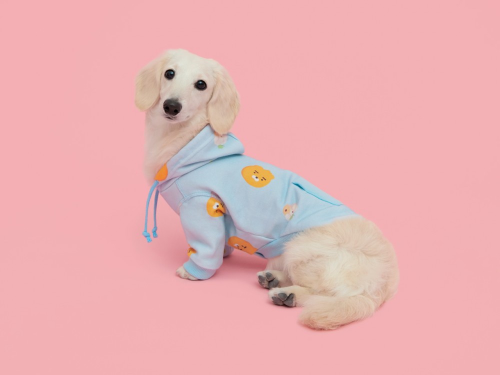 fac018e2-76a4-438f-9e1d-9c834bdf656b