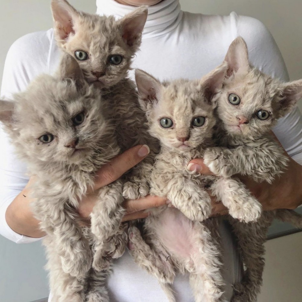 螢幕快照 2019-09-02 下午10.48.08