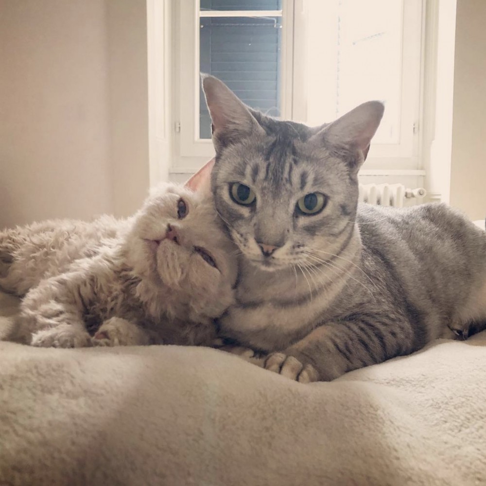 螢幕快照 2019-09-02 下午10.52.33