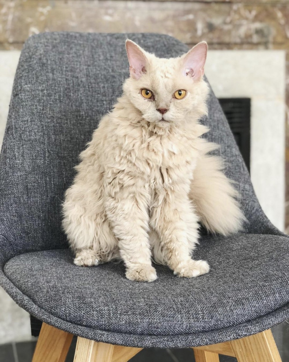 螢幕快照 2019-09-02 下午10.54.22