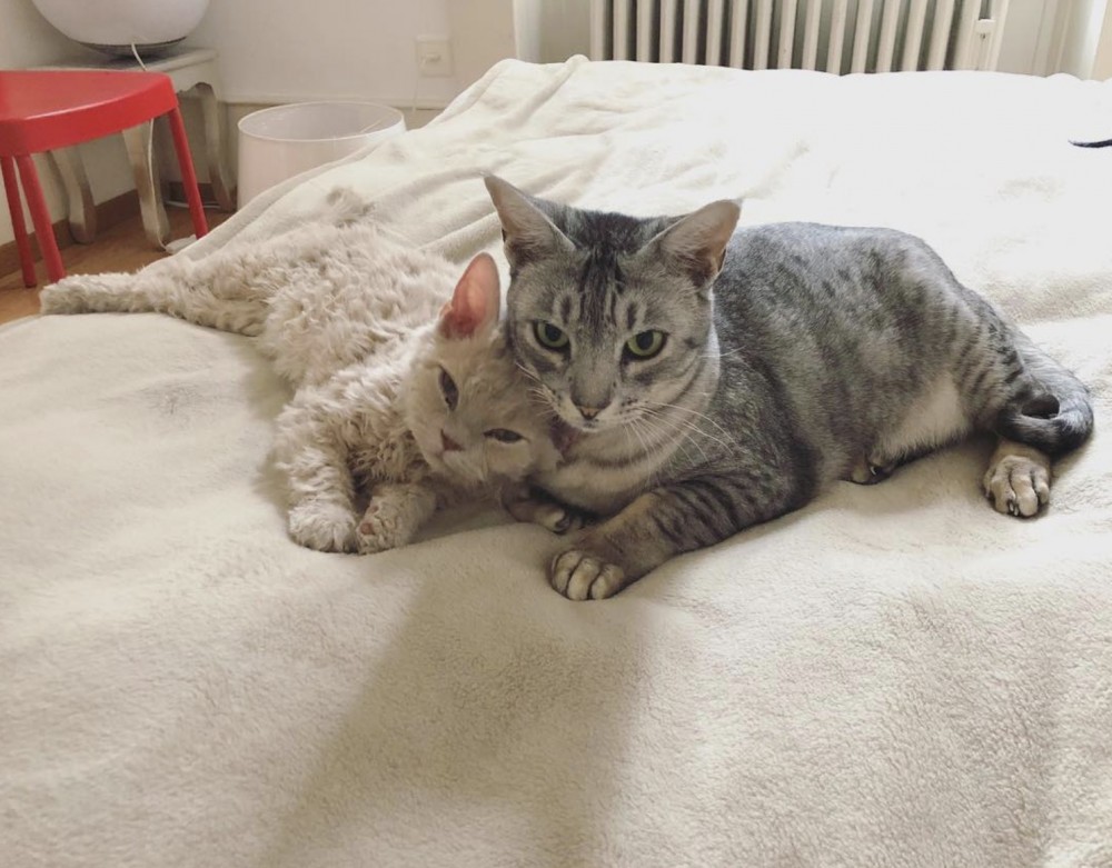 螢幕快照 2019-09-02 下午10.58.11