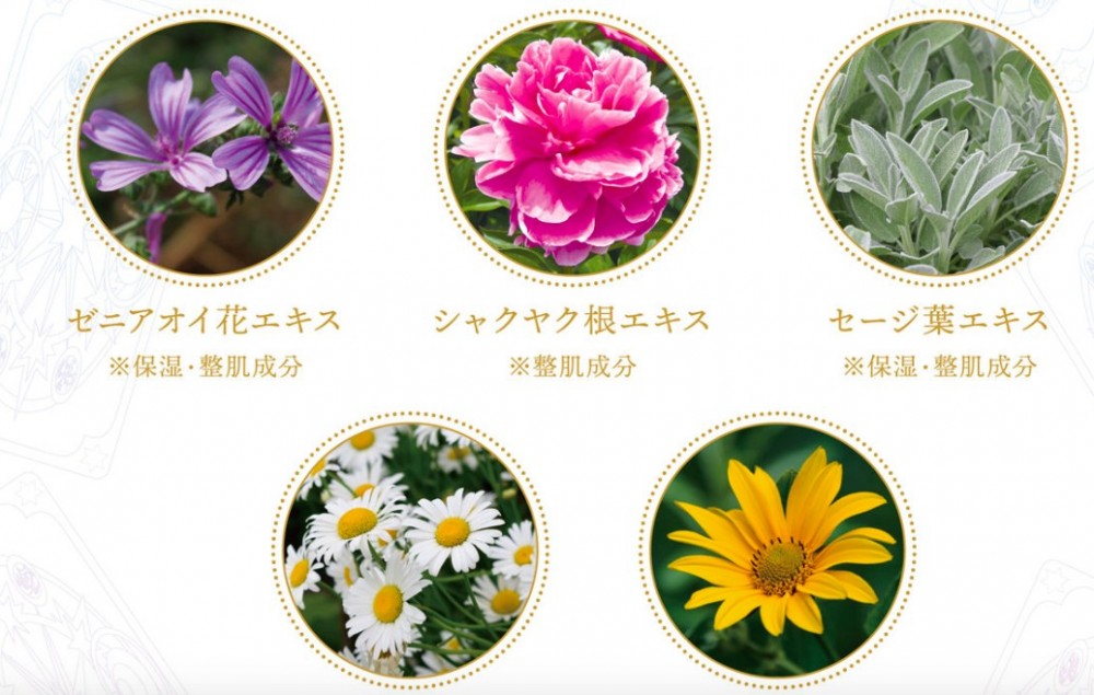 螢幕快照2019-09-11 下午12.22.06