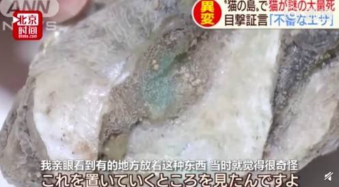 螢幕快照 2019-09-14 下午1.11.39