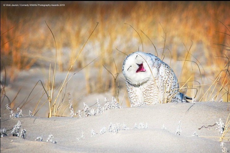 螢幕快照 2019-09-17 下午6.33.26