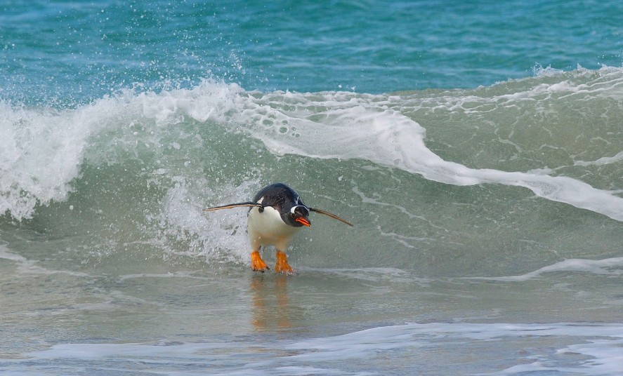 螢幕快照 2019-09-17 下午6.36.00