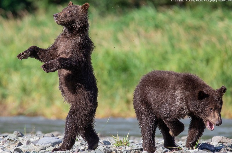 螢幕快照 2019-09-17 下午6.37.31