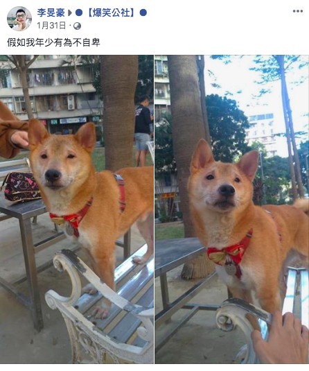 螢幕快照 2019-09-19 下午4.11.16