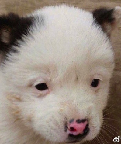 螢幕快照 2019-09-19 下午4.17.38