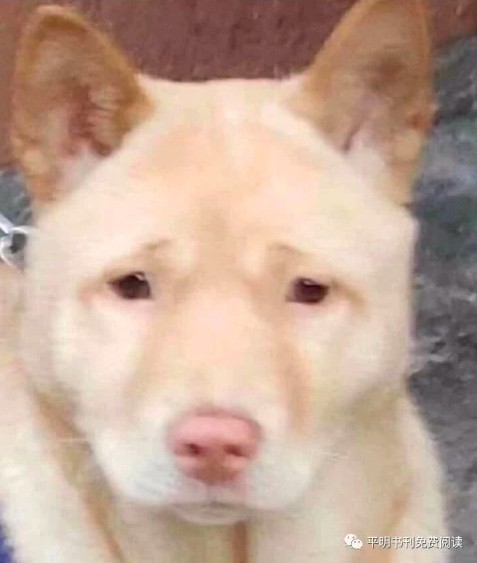 螢幕快照 2019-09-19 下午4.19.24