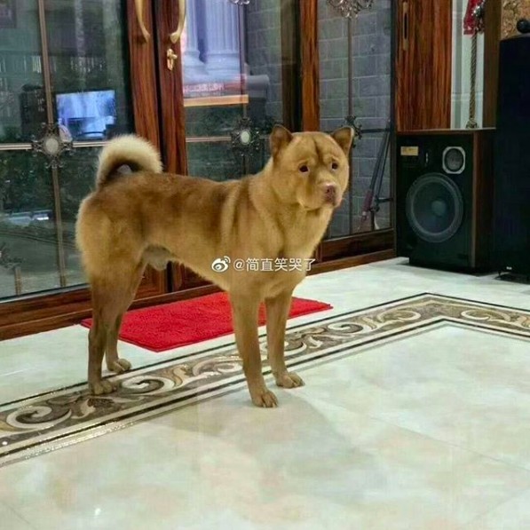 螢幕快照 2019-09-19 下午4.20.25