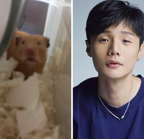 螢幕快照 2019-09-19 下午4.26.21