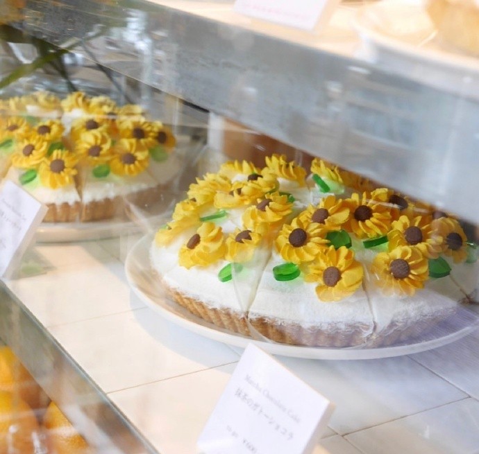 0064p43qgy1g6eh66xs2ej30yi0yan4r