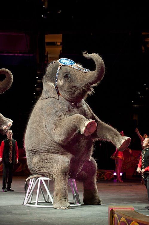 04b89b4750a7dfe690498ccc4ba29f59