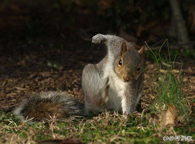 17ed0006aa8b5b58da26