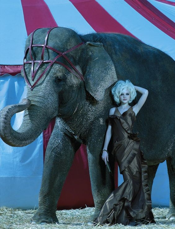 206adcee60329e8cc9bfcd9fdf0e6df0