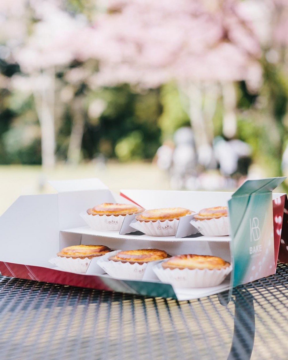 29401510_353981488453697_459422614314549248_n