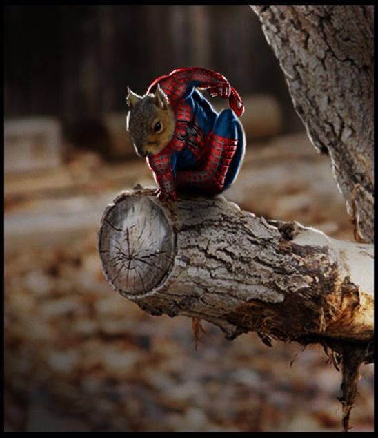 2d7cf2ef25d9cf72790e31dc07f1e18e