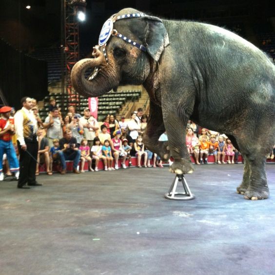 398d85aa7b94a0859963375af12cc608