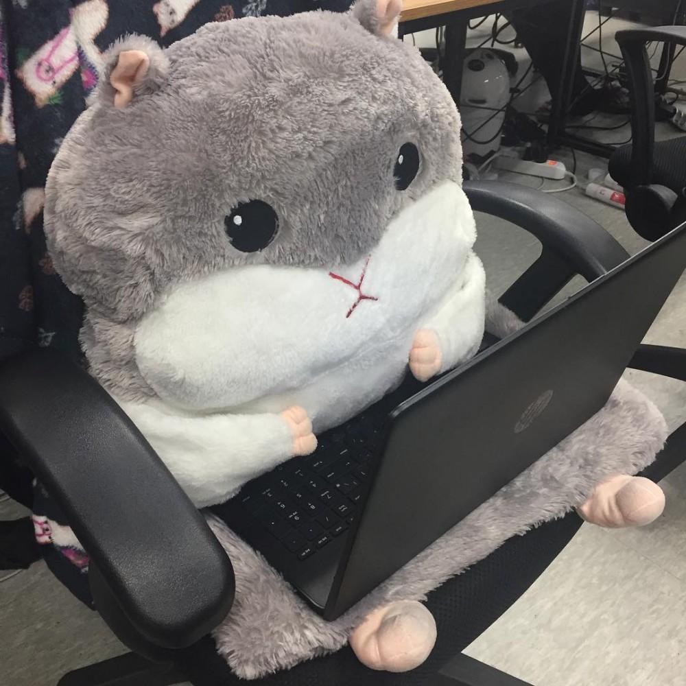 46882566_318953448959380_5756018882699978795_n