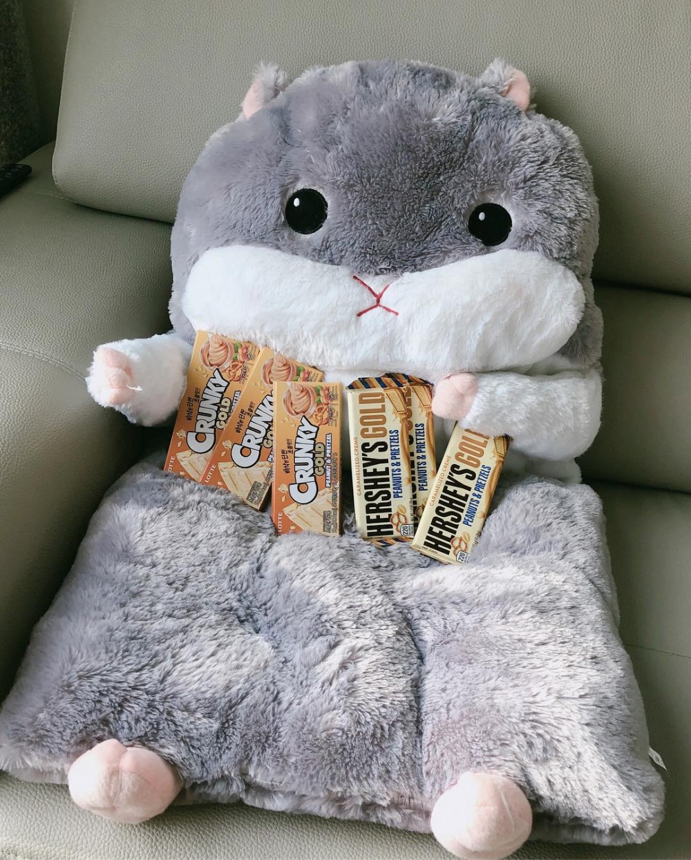 50082634_292441921470472_7939669368344161078_n