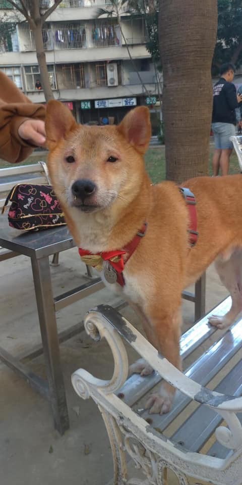 51348135_2019704964803723_3770102746032635904_n